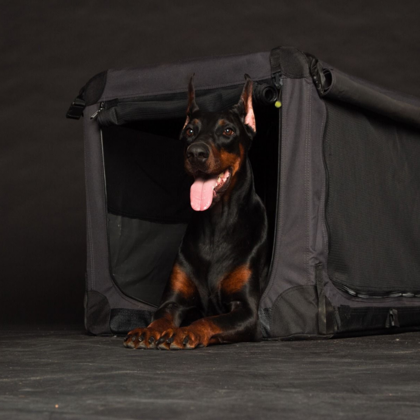Faltbare Reisebox Hund und Katze Anthrazit