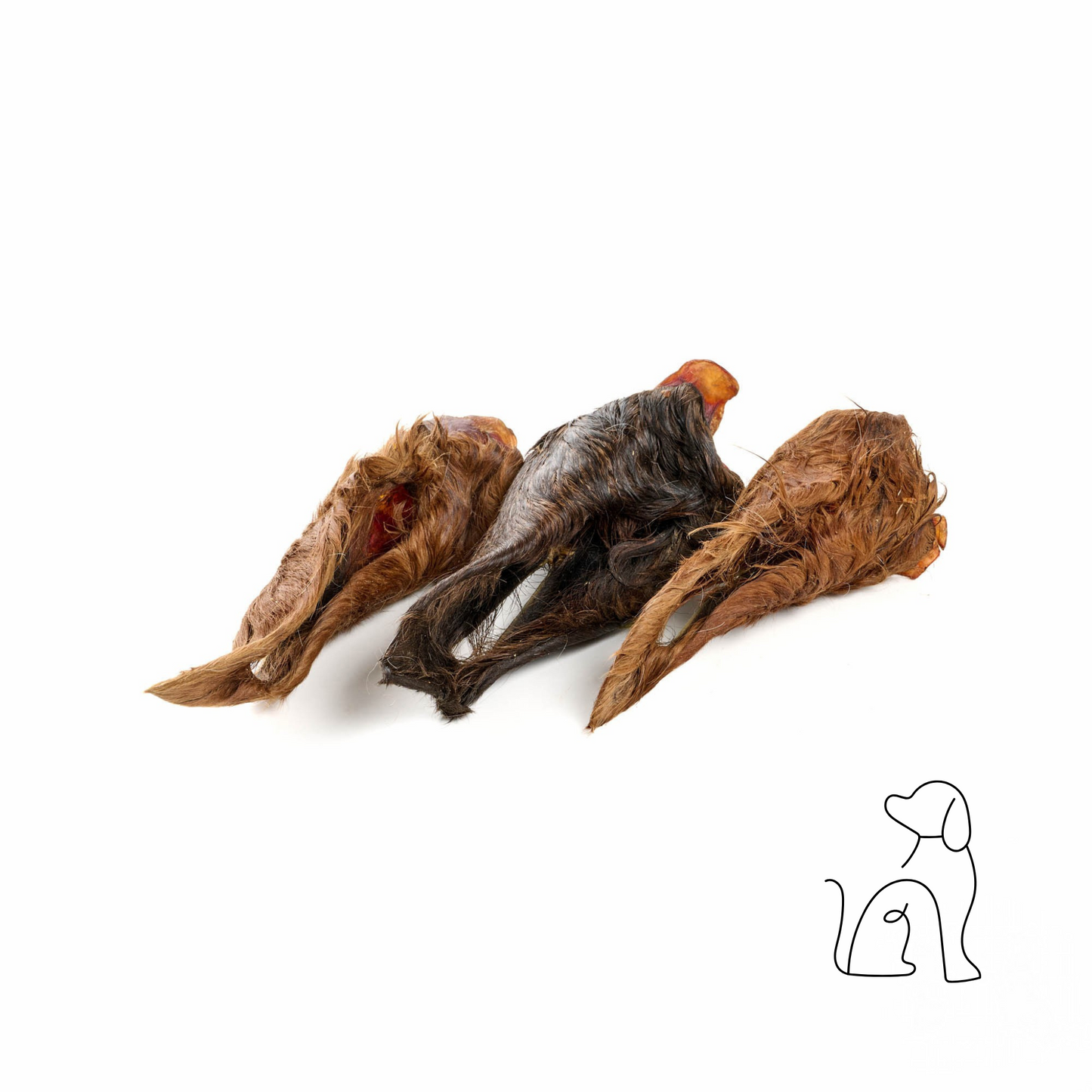 Pferde- Ohren mit Fell